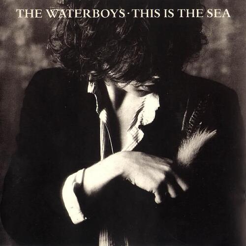 The Waterboys This Is The Sea (LP)
